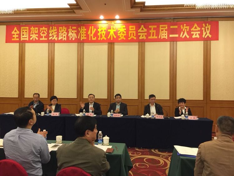 凯时尊龙人生就是博电气集团应邀加入天下倾轧线路标准化手艺委员会五届二次聚会_凯时尊龙人生就是博新闻_新闻资讯_凯时尊龙人生就是博电气集团