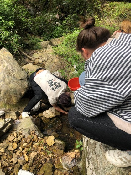 清明踏青 采茶好时节_凯时尊龙人生就是博新闻_新闻资讯_凯时尊龙人生就是博电气集团