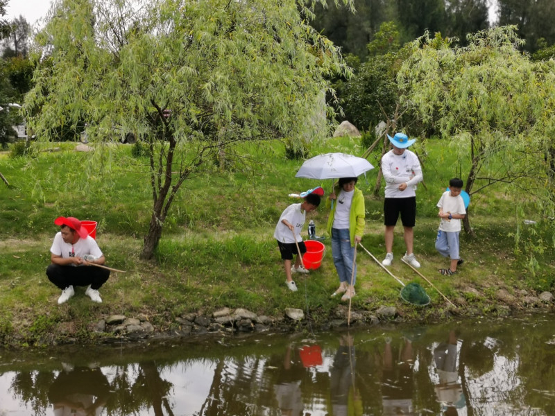 爱在一夏  快乐出发_凯时尊龙人生就是博新闻_新闻资讯_凯时尊龙人生就是博电气集团
