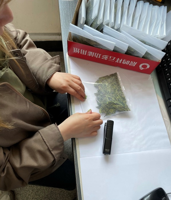 清明踏青 采茶好时节_凯时尊龙人生就是博新闻_新闻资讯_凯时尊龙人生就是博电气集团