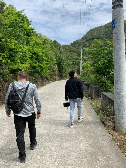 清明踏青 采茶好时节_凯时尊龙人生就是博新闻_新闻资讯_凯时尊龙人生就是博电气集团