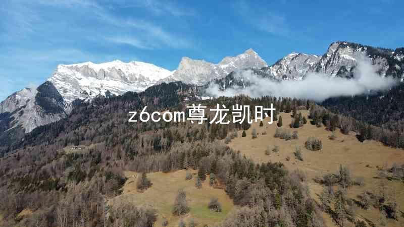 z6com尊龙凯时