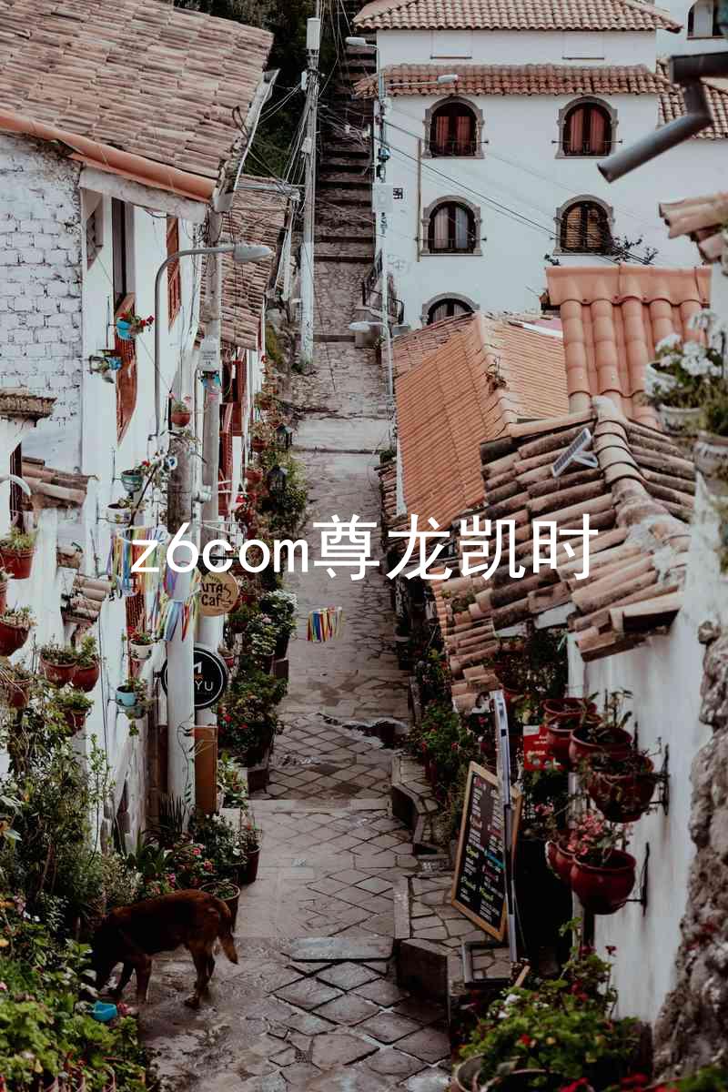 z6com尊龙凯时
